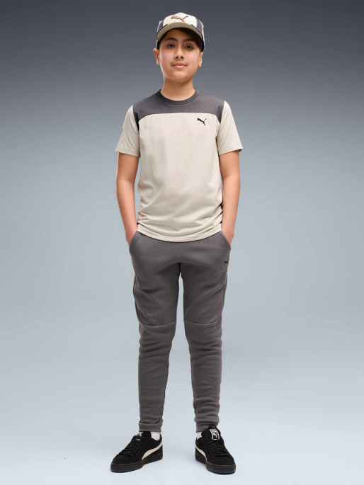 PUMA Pantaloni sport Pumatech Elevated Dk B