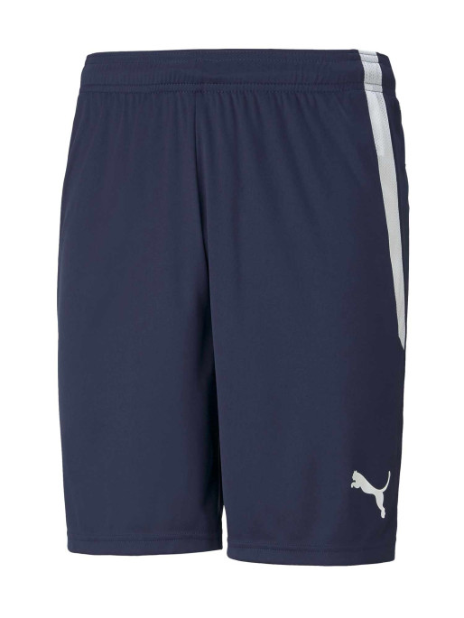 PUMA TEAM Pantaloni scurti Teamliga