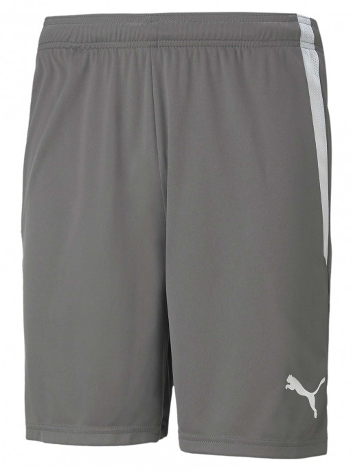 PUMA TEAM Къси панталони teamLIGA