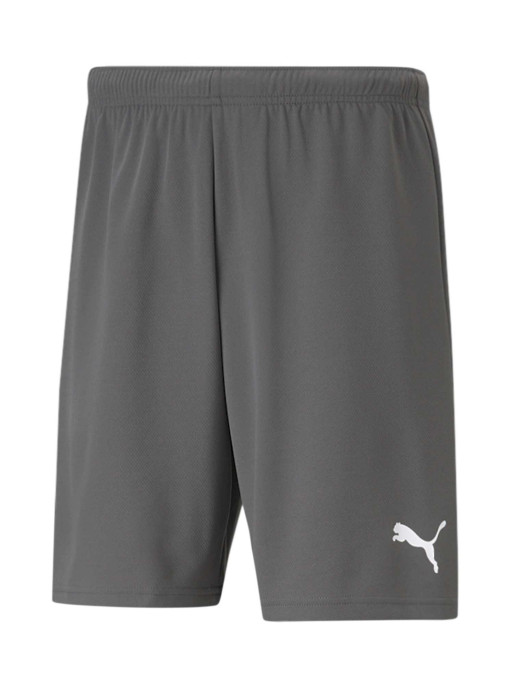 PUMA TEAMWEAR Къси панталони teamRISE