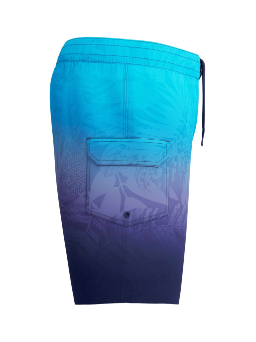 SPEEDO Men's The Lookout Ombre Boardshort 18
