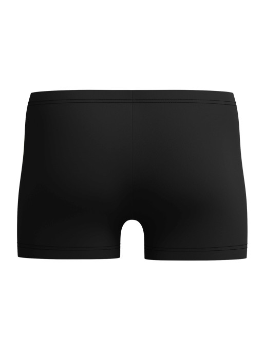SPEEDO Αθλητικό Μαγιό MENS MEDLEY LOGO AQUASHORT