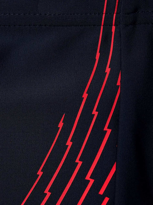 SPEEDO Muške kupaće gaće MEDLEY LOGO