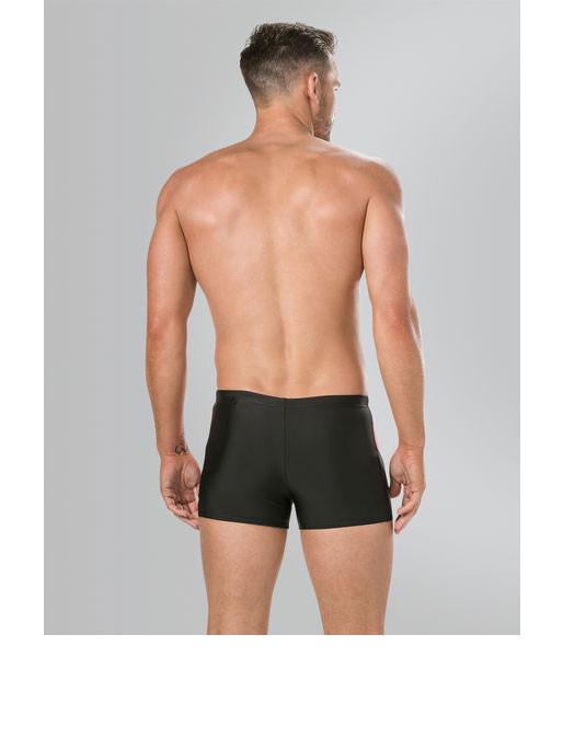 SPEEDO Muške kupaće gaće DIVE ASHT