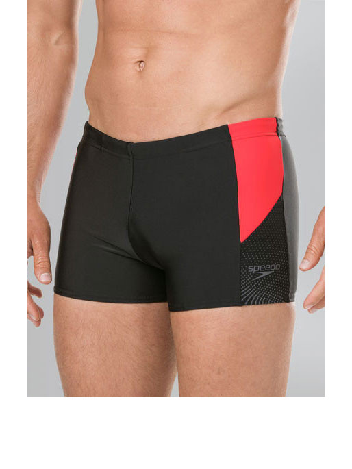 SPEEDO Muške kupaće gaće DIVE ASHT