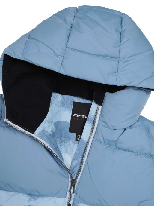 ICEPEAK