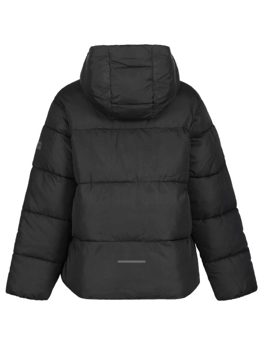 ICEPEAK