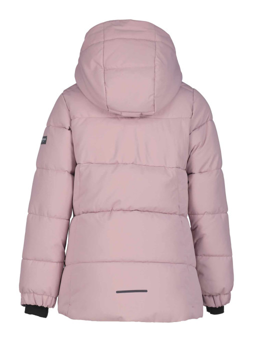 ICEPEAK