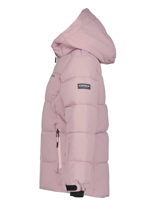 ICEPEAK