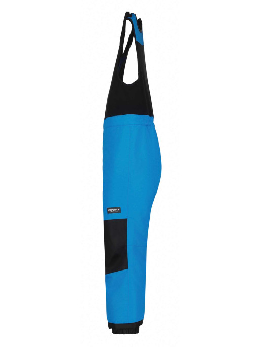 ICEPEAK