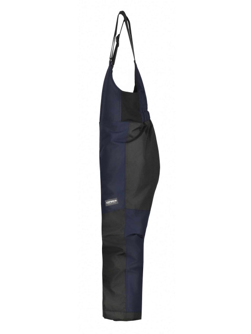 ICEPEAK