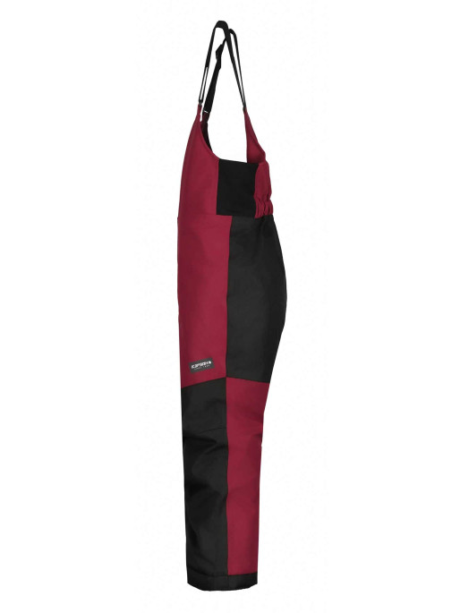 ICEPEAK