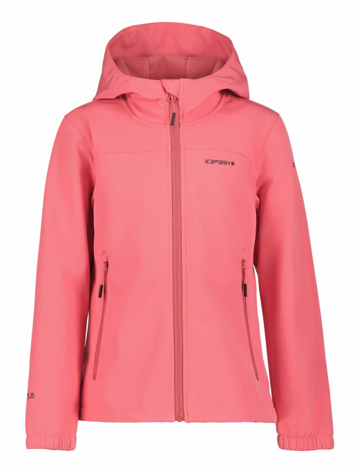 ICEPEAK