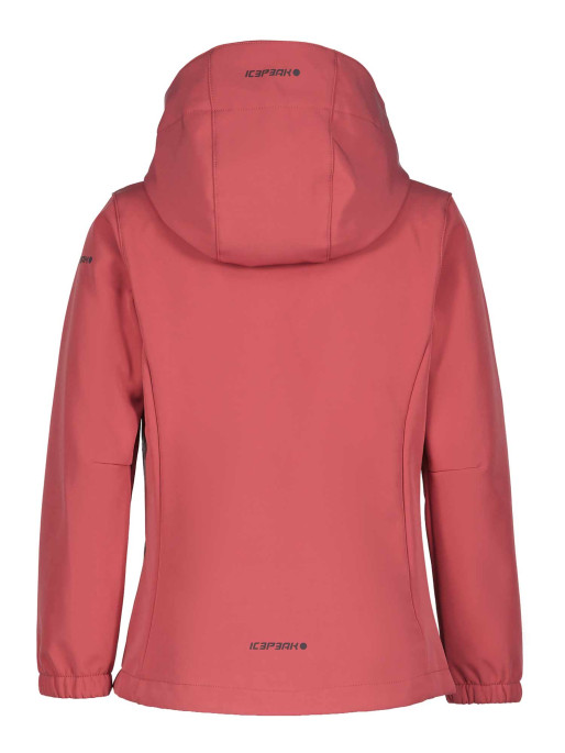 ICEPEAK