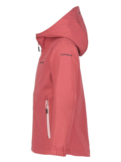 ICEPEAK