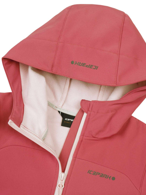 ICEPEAK