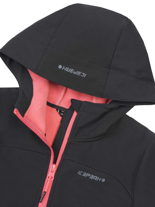 ICEPEAK