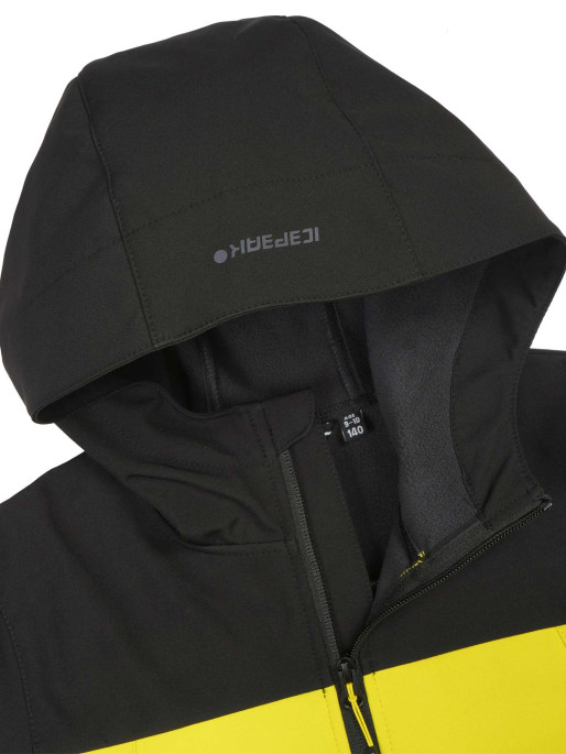 ICEPEAK