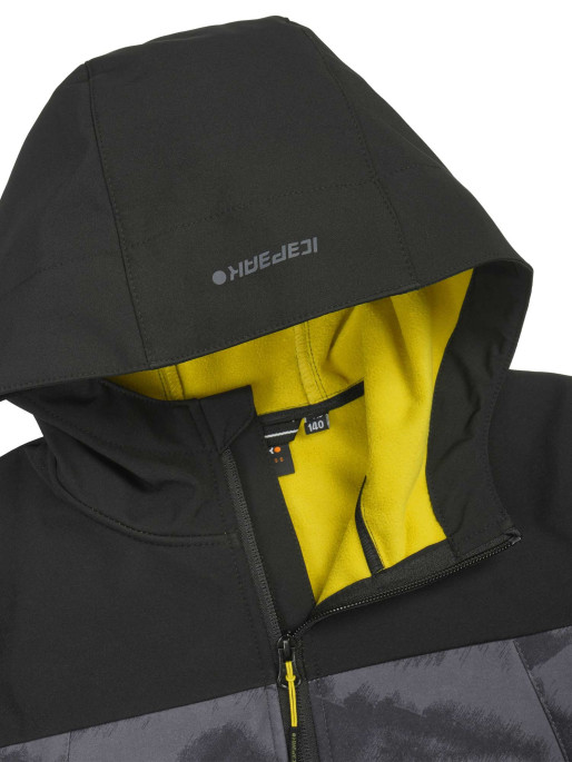 ICEPEAK