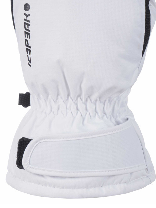 ICEPEAK Manusi schi Hayden