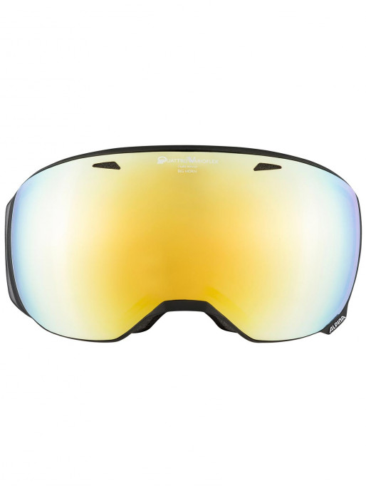 ALPINA BIG HORN QVM Goggle