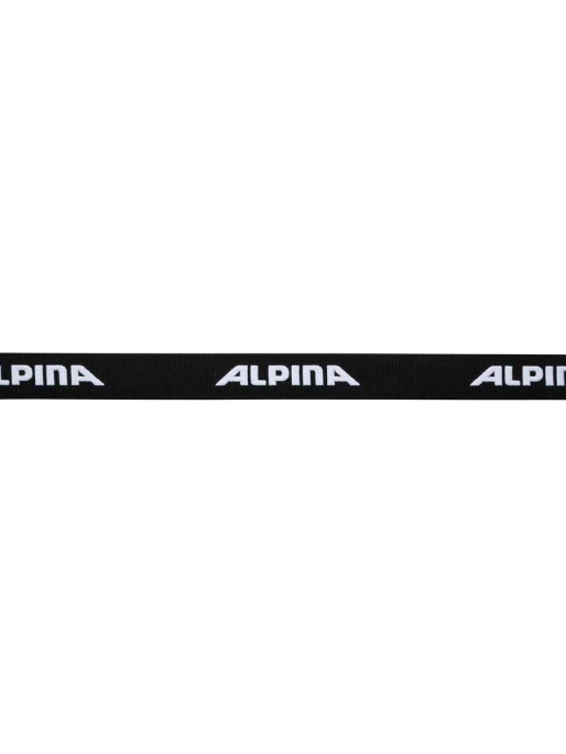 ALPINA BIG HORN QVM Goggle