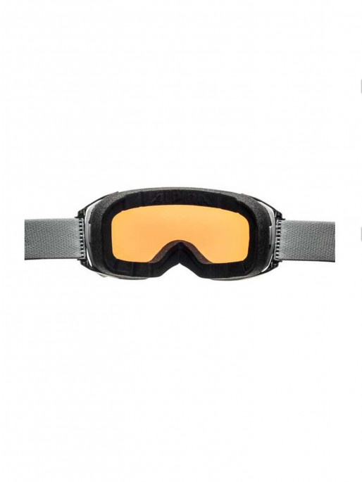 ALPINA BIG HORN Q-LITE Ski goggles