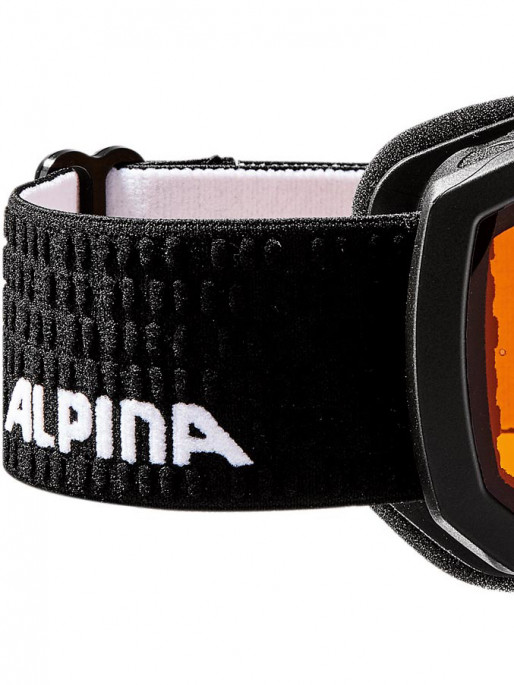 ALPINA Ochelari schi Scarabeo Jr