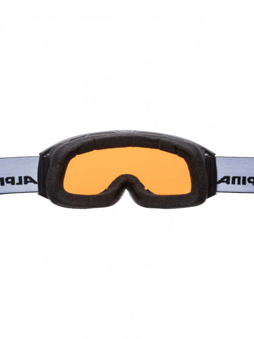 ALPINA Ochelari schi Alpina Nakiska Dh