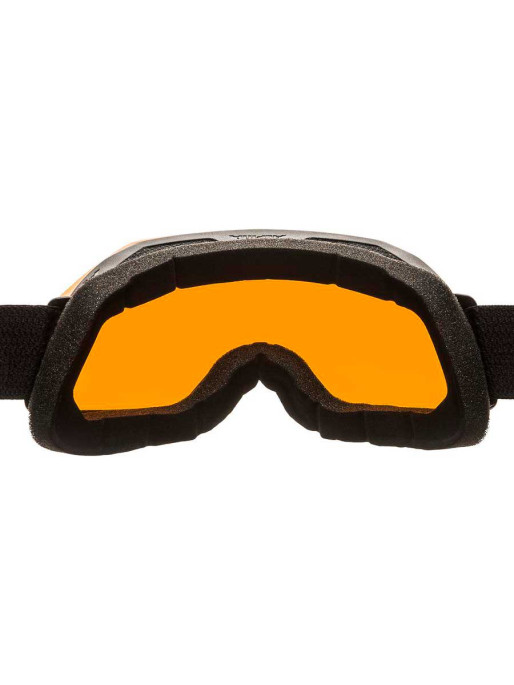 ALPINA Ochelari schi Blackcomb Q