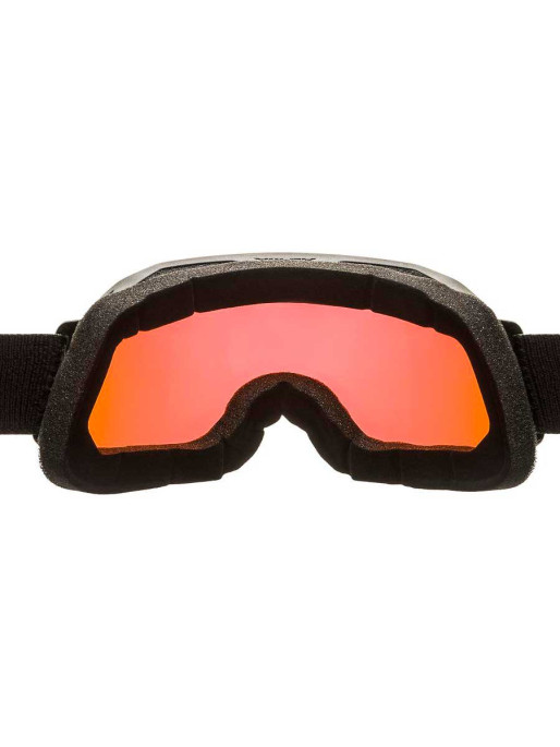ALPINA Ochelari schi Blackcomb Q