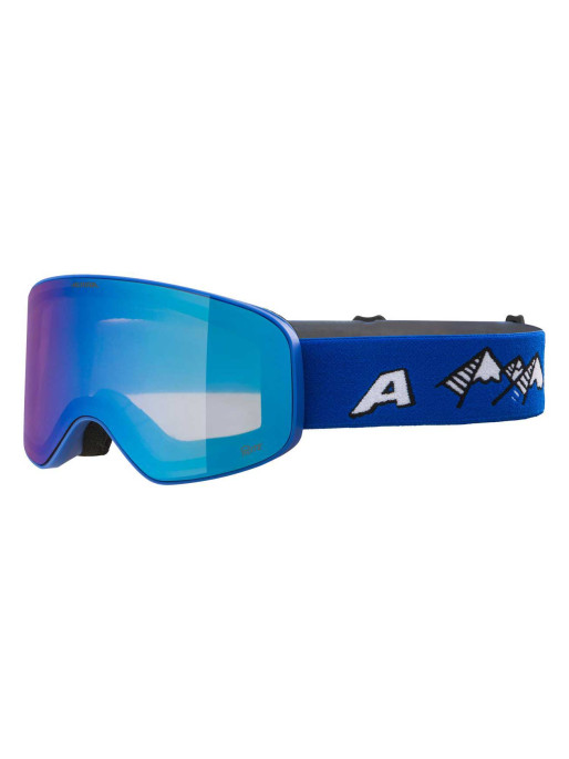 ALPINA FERNIE Ski Goggles