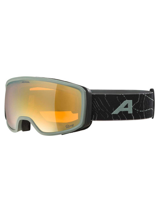 ALPINA BIVIO Ski Goggles