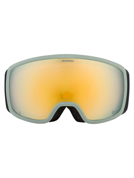 ALPINA BIVIO Ski Goggles