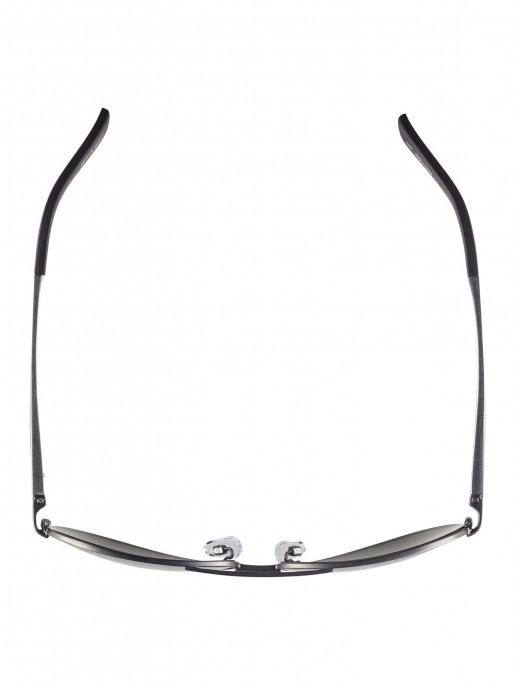 ALPINA Слънчеви очила A 107