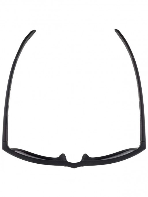 ALPINA NACAN II Sports glasses