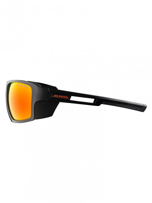 ALPINA Ochelari sport Skywalsh