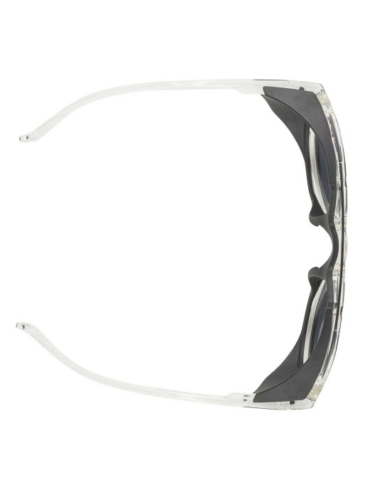 ALPINA Ochelari de soare Glace