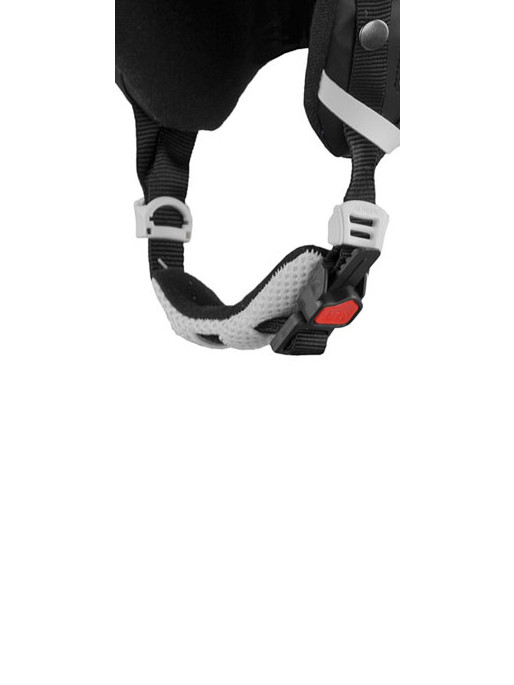 ALPINA Ski kaciga BIOM