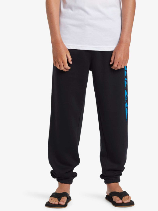 QUIKSILVER Pantaloni sport Graphic