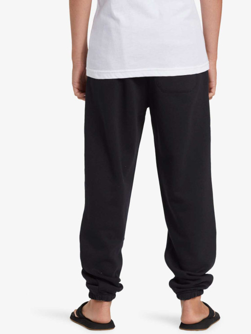 QUIKSILVER Pantaloni sport Graphic