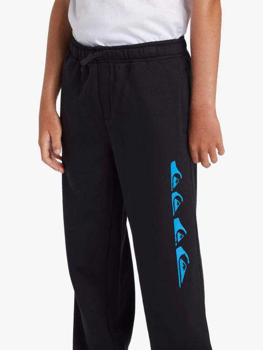 QUIKSILVER Pantaloni sport Graphic