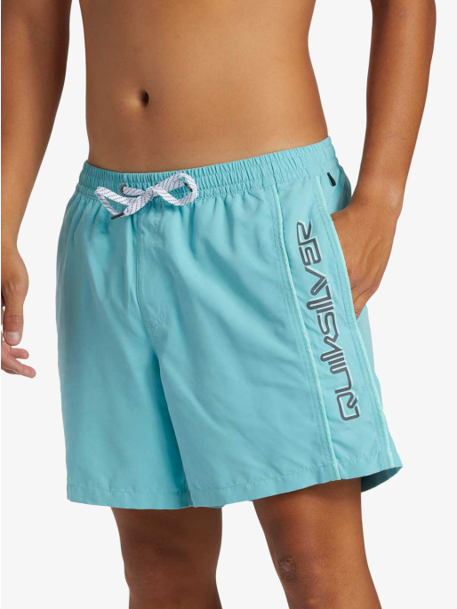QUIKSILVER Sort inot Everyday Vert Volley 16