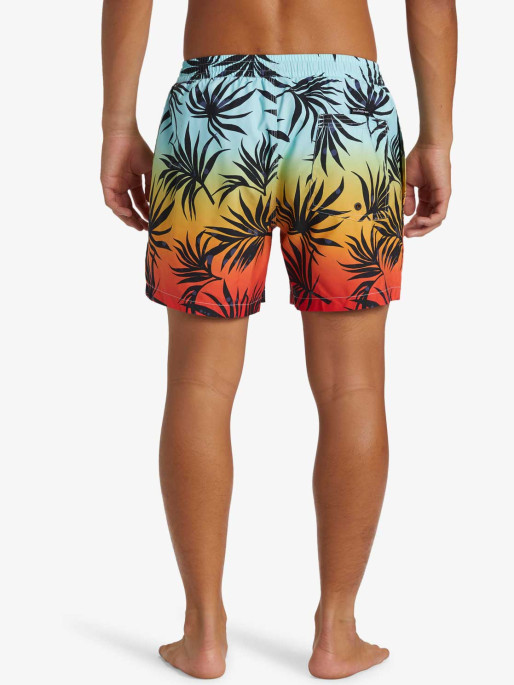 QUIKSILVER EVERYDAY MIX VOLLEY 15 Swim Shorts