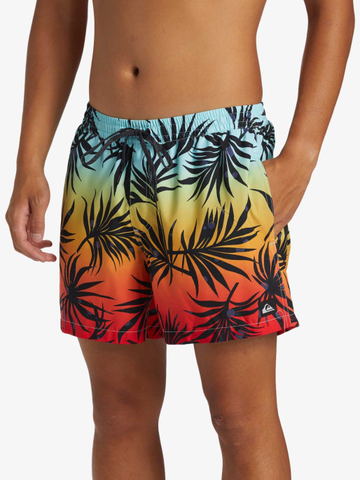 QUIKSILVER EVERYDAY MIX VOLLEY 15 Swim Shorts