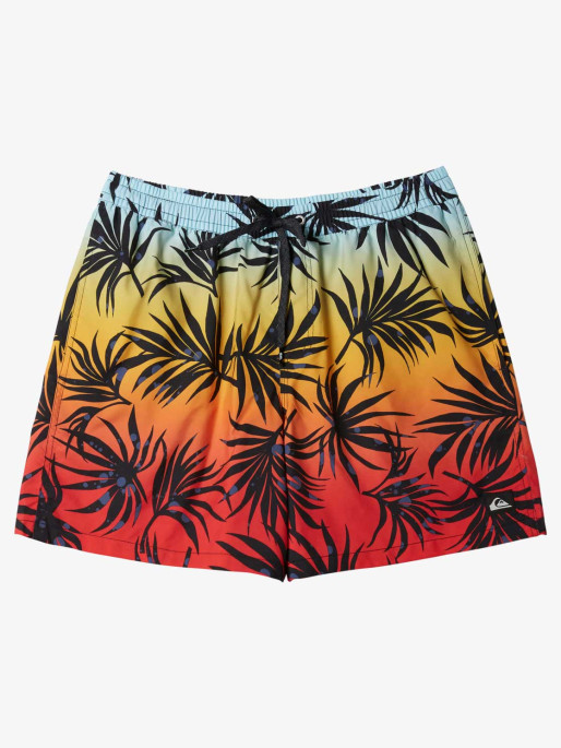 QUIKSILVER EVERYDAY MIX VOLLEY 15 Swim Shorts
