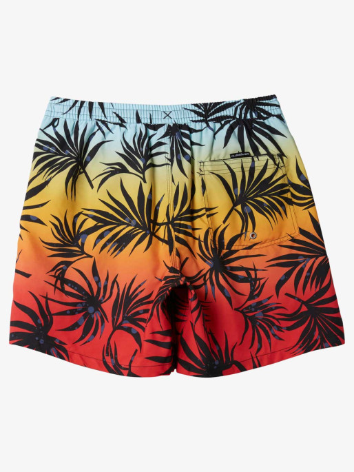 QUIKSILVER EVERYDAY MIX VOLLEY 15 Swim Shorts