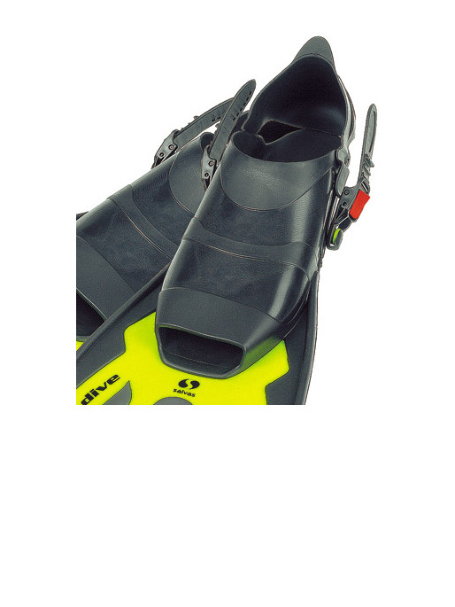 SALVAS Labe Inot Tonic Dive