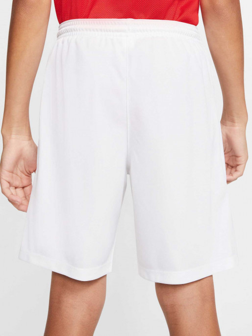 NIKE TEAM Къси панталони PARK III SHORT