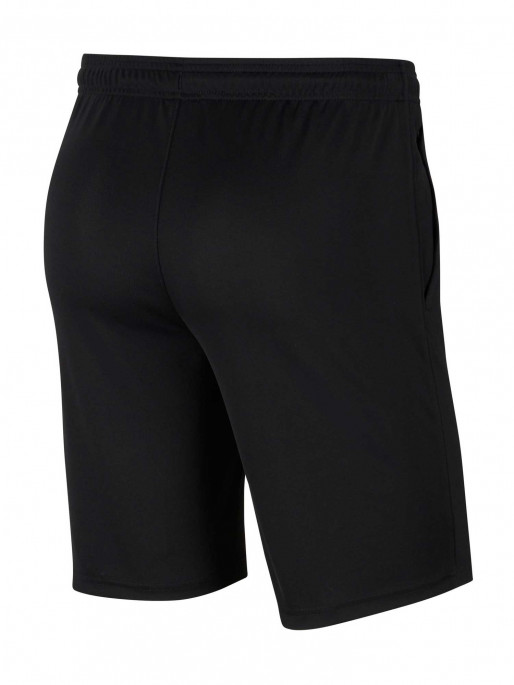 NIKE TEAM M NK DF PARK20 SHORT KZ
